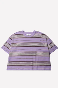 Ascent T-Shirt, Purple Stripe