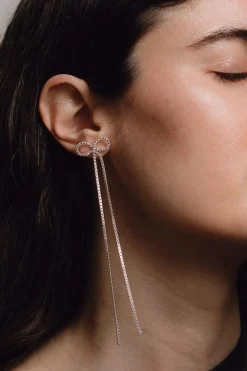 Bow-wow Long Earring, Silver