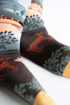 Paysage Terre d'Ombre