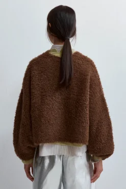 Teddy Cardigan, Acorn, OS