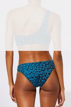 The Tati / Desi, Graphic Leo