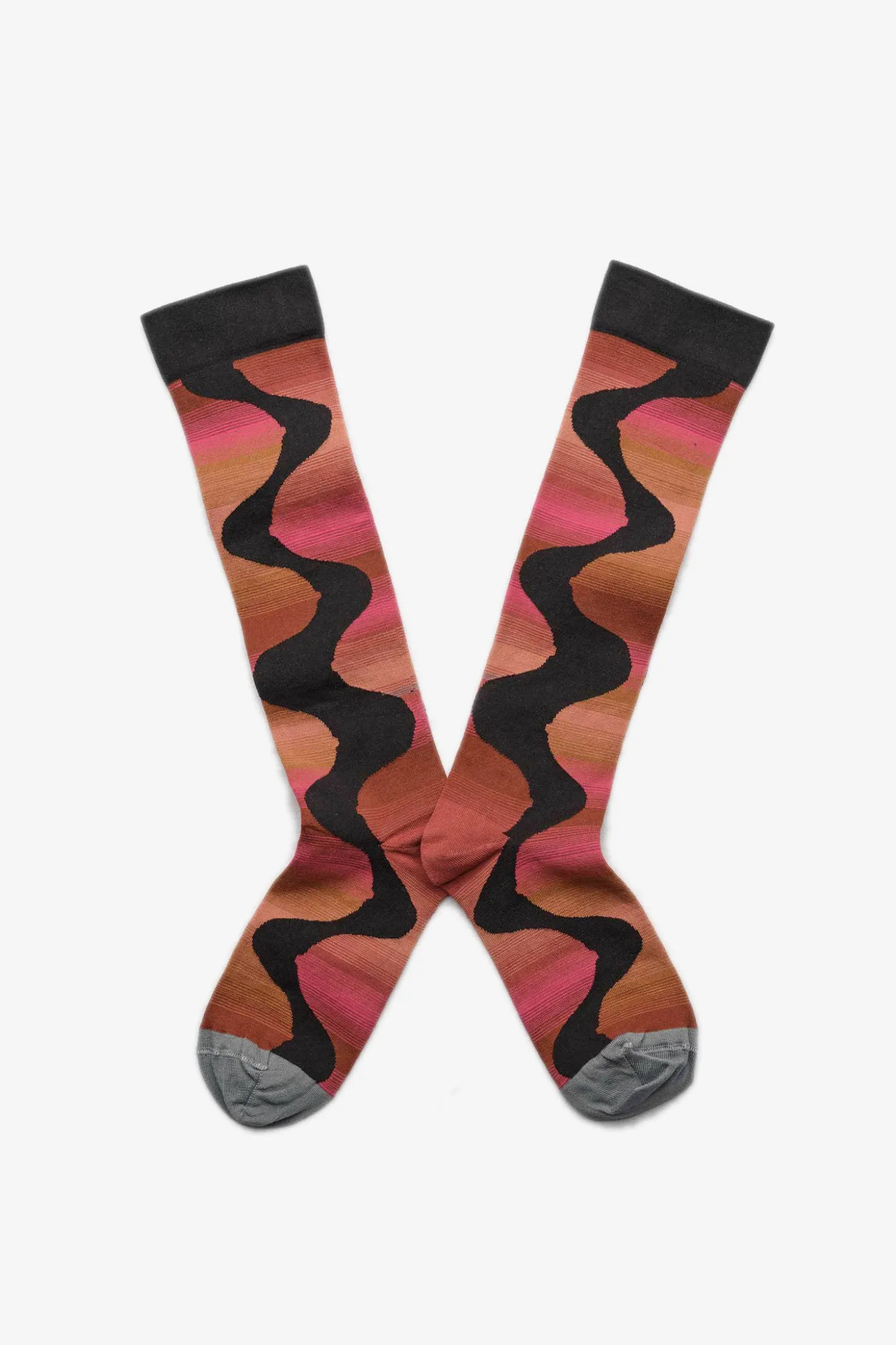 Venus, Shading Off Multico